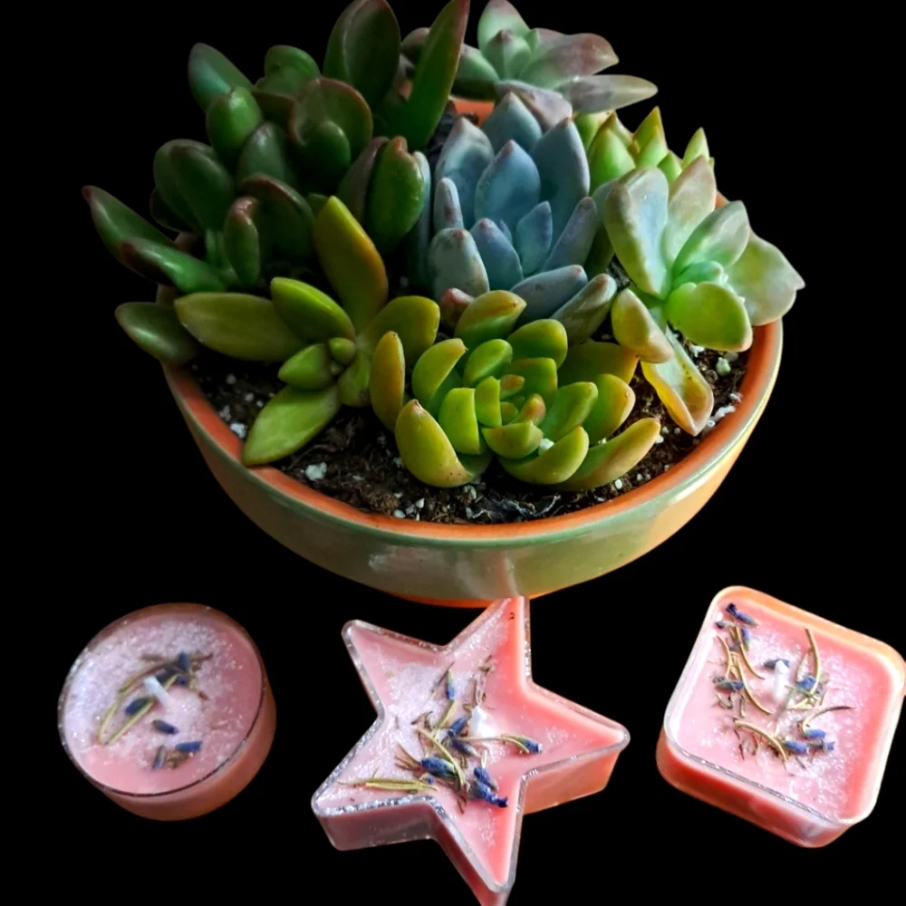 Hand Crafted, Wicked Worthy Wax,I'm in shape tealights & Full Moon candle holder - Picture 3 of 4